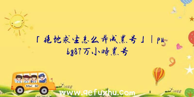 「绝地求生怎么弄成黑号」|pubg87万小时黑号